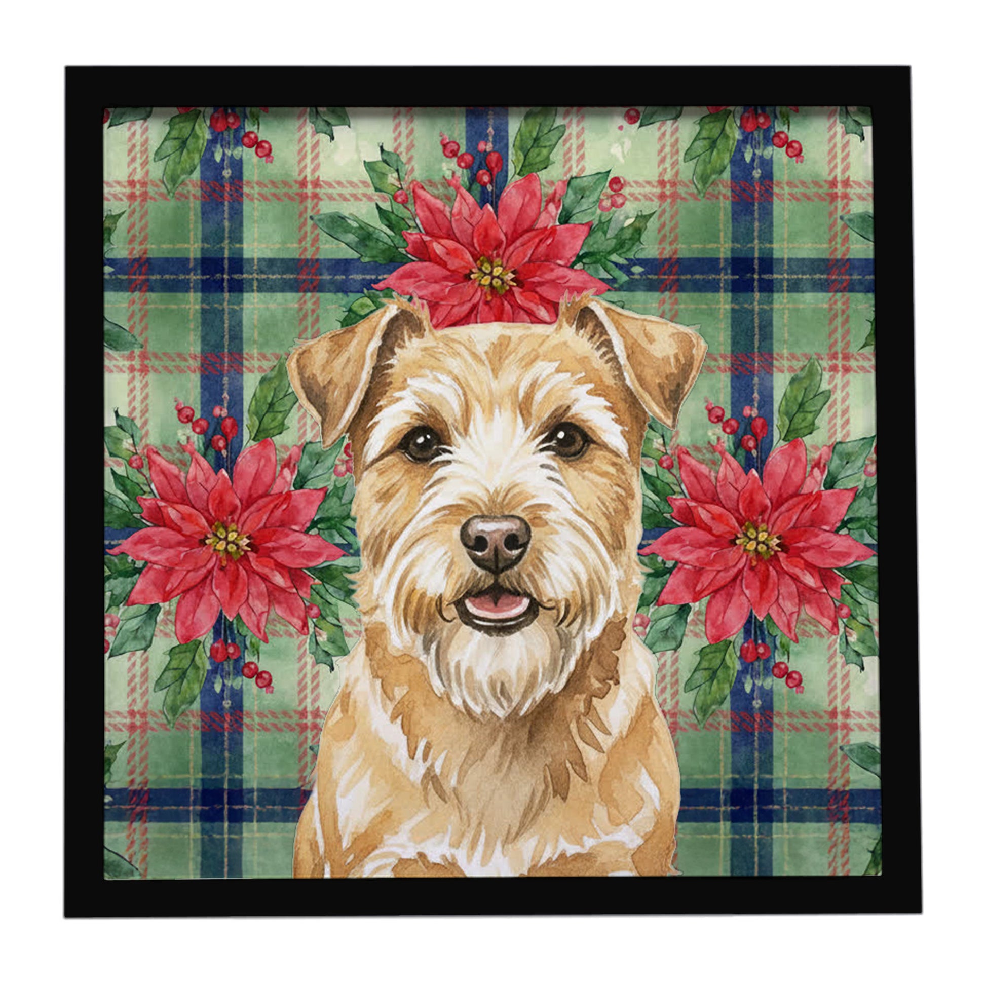 Buy this Wheaten Norfolk Terrier Christmas PoinsettIas Framed Metal Print