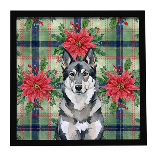 Buy this Norwegian Elkhound Christmas PoinsettIas Framed Metal Print
