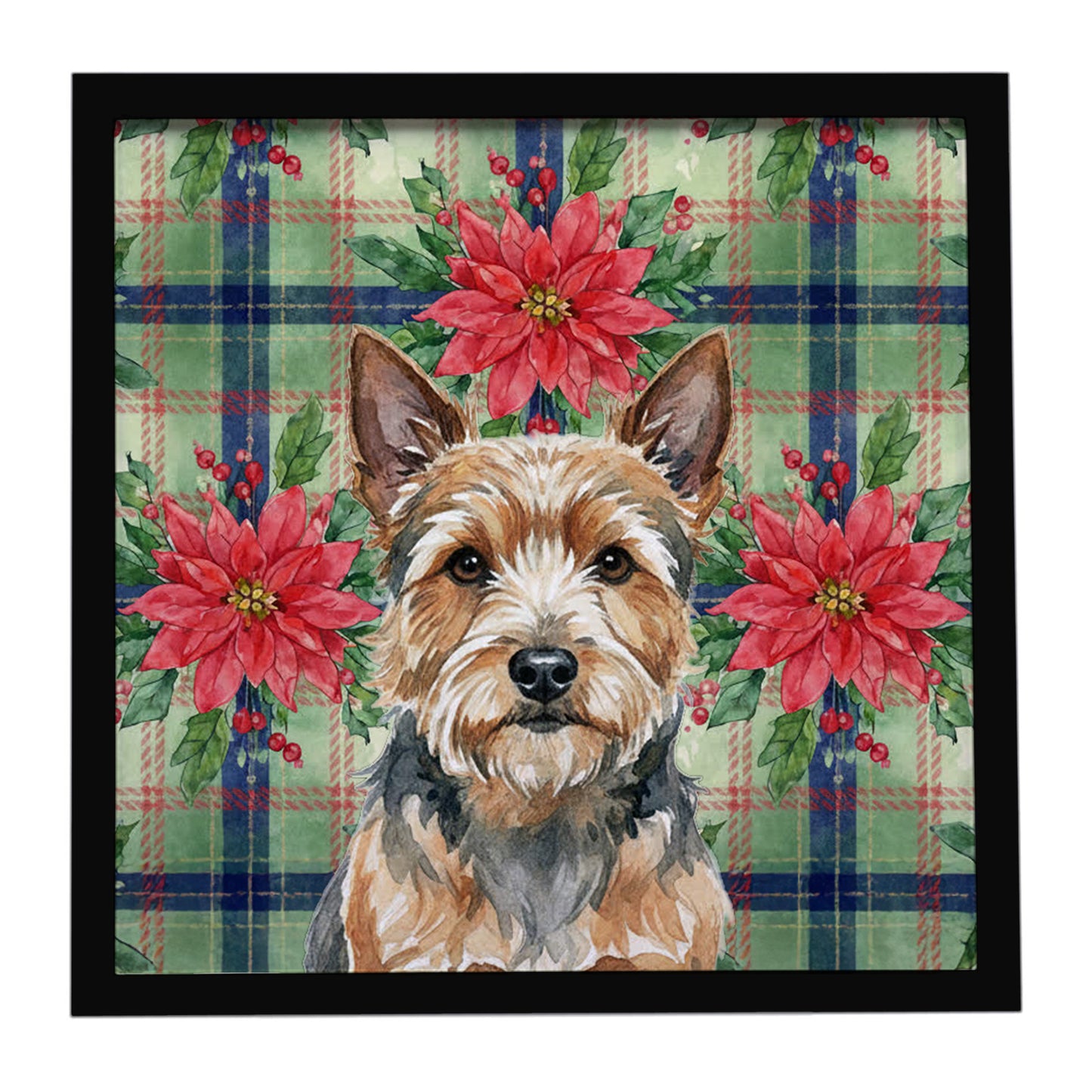 Buy this Norwich Terrier Christmas PoinsettIas Framed Metal Print