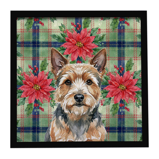 Buy this Norwich Terrier Christmas PoinsettIas Framed Metal Print