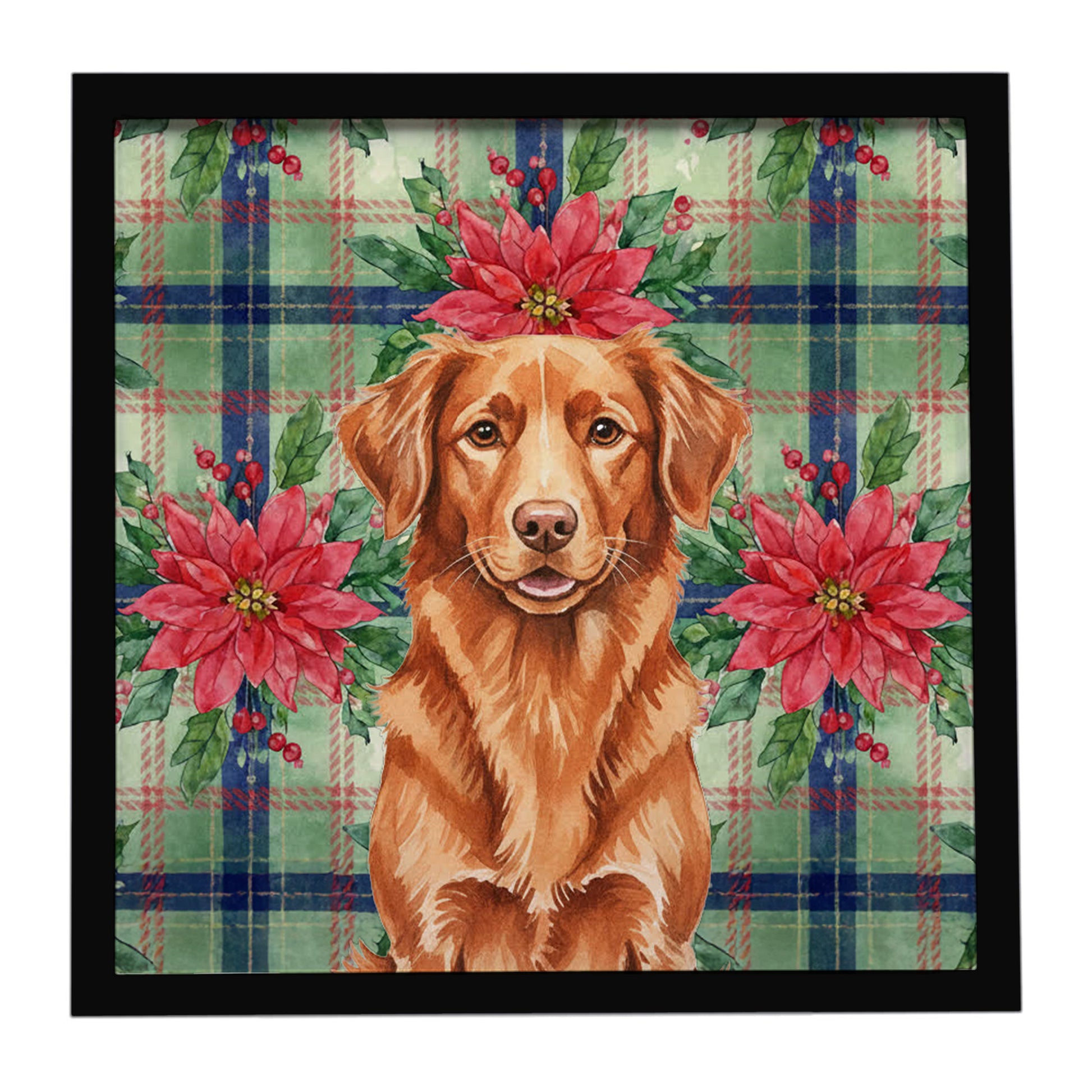 Buy this Copper Nova Scotia Duck Tolling Retriever Christmas PoinsettIas Framed Metal Print