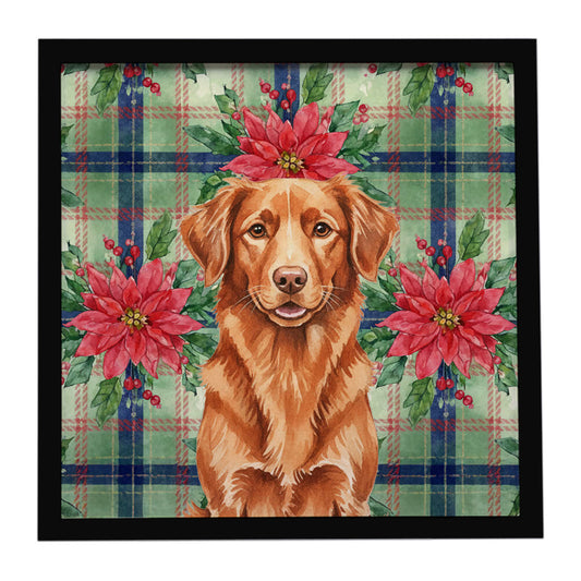 Buy this Copper Nova Scotia Duck Tolling Retriever Christmas PoinsettIas Framed Metal Print