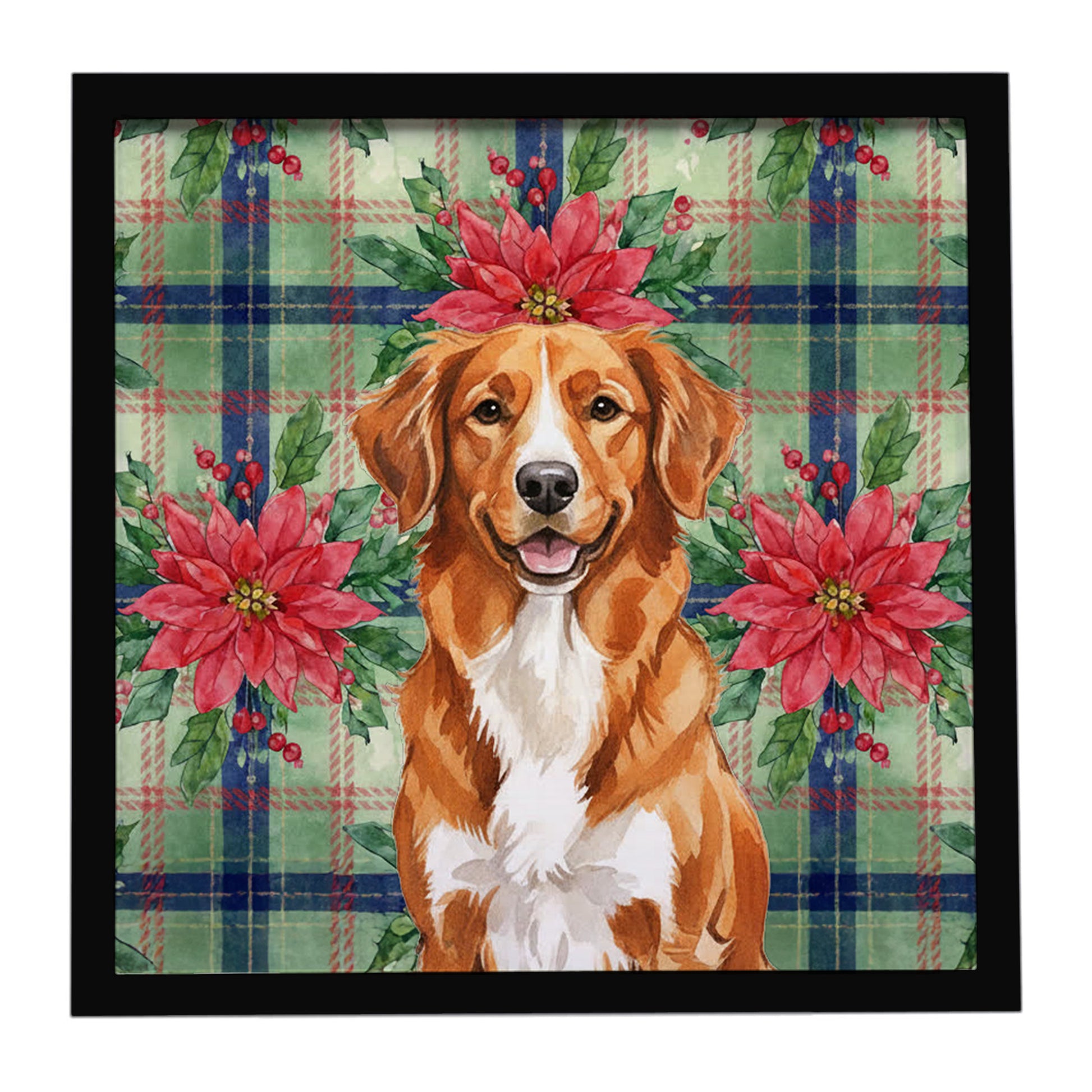 Buy this Orange Nova Scotia Duck Tolling Retriever Christmas PoinsettIas Framed Metal Print