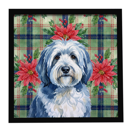 Buy this Blue and White Old English Sheepdog Christmas PoinsettIas Framed Metal Print
