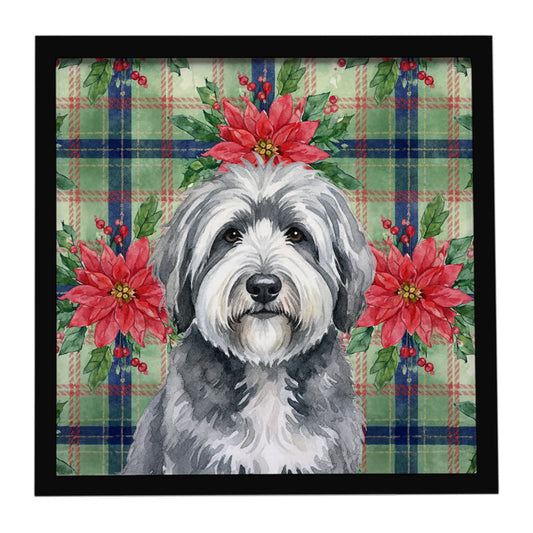 Buy this Gray and White Old English Sheepdog Christmas PoinsettIas Framed Metal Print