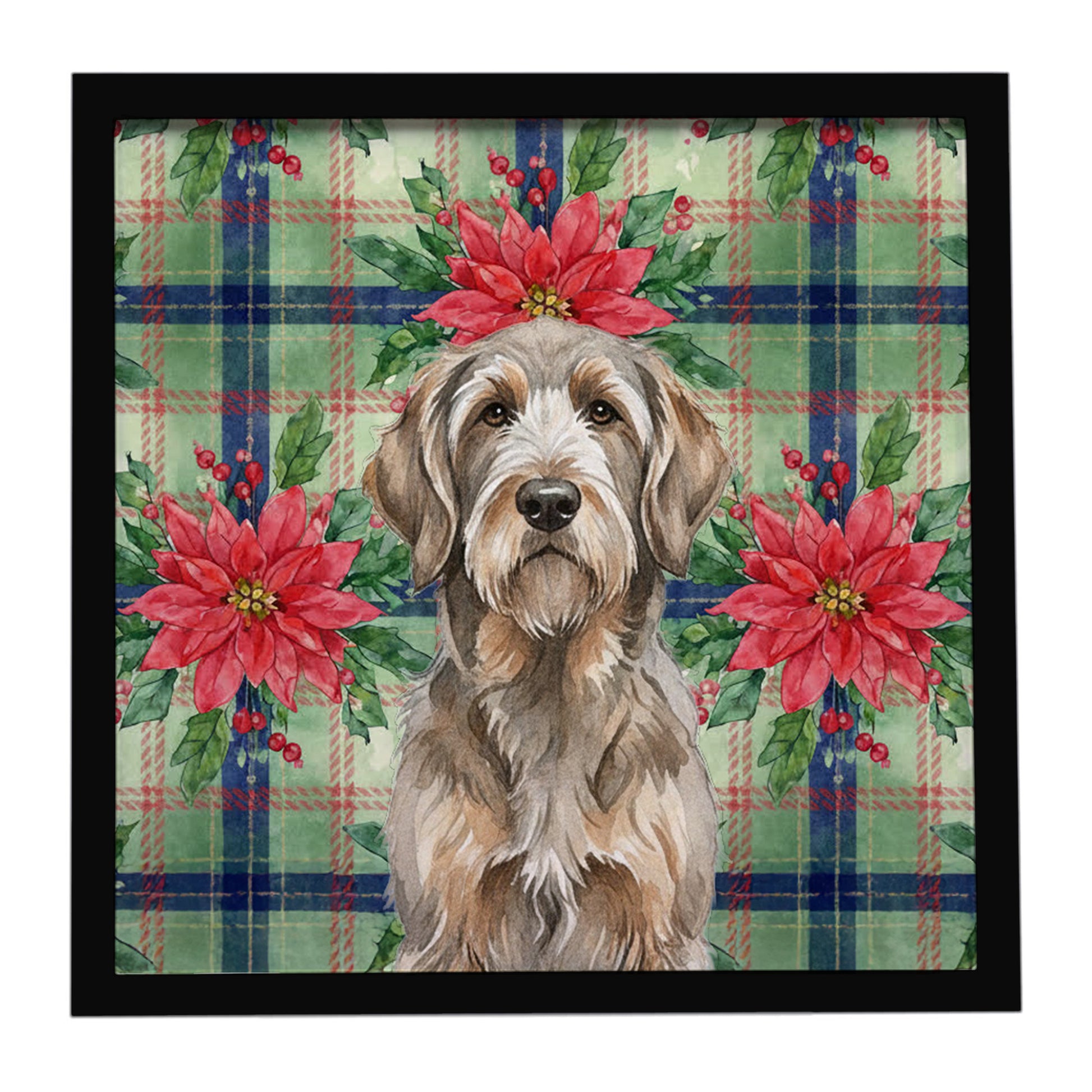 Buy this Grizzle and Tan Otterhound Christmas PoinsettIas Framed Metal Print
