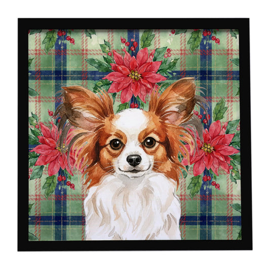 Buy this White with Red Papillon Christmas PoinsettIas Framed Metal Print