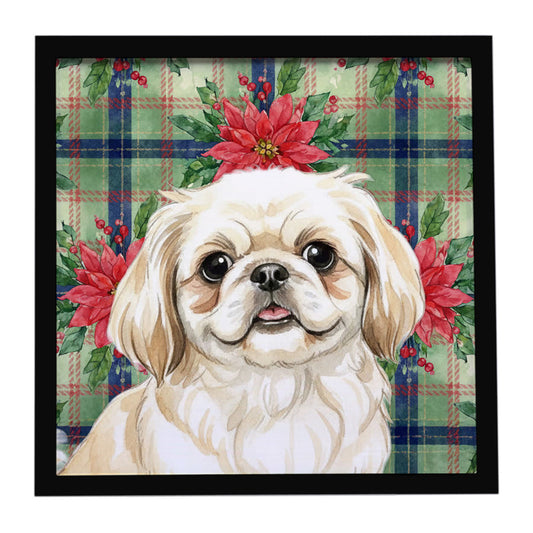 Buy this Cream Pekingese Christmas PoinsettIas Framed Metal Print