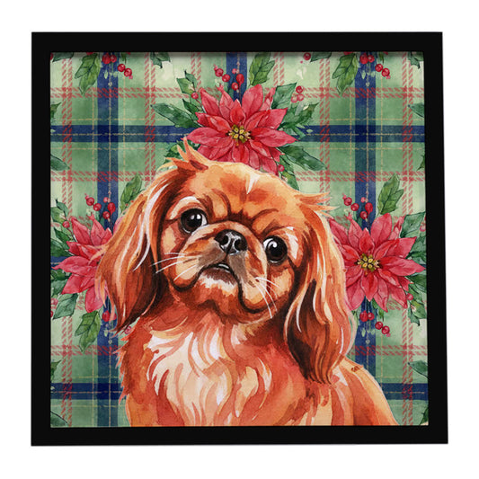 Buy this Red Pekingese Christmas PoinsettIas Framed Metal Print