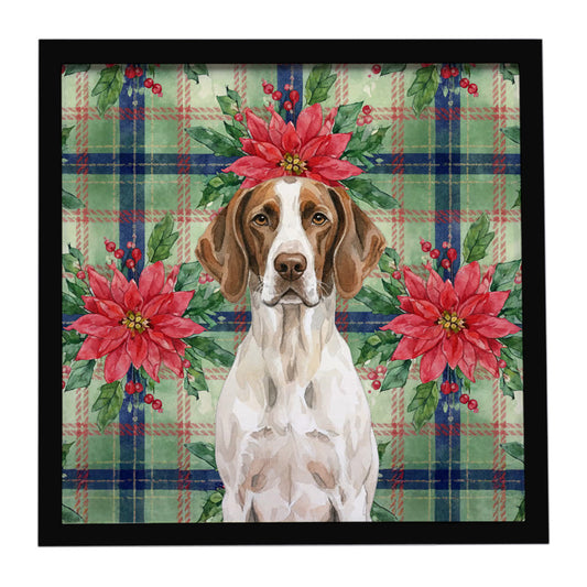 Buy this Liver and White Pointer Christmas PoinsettIas Framed Metal Print