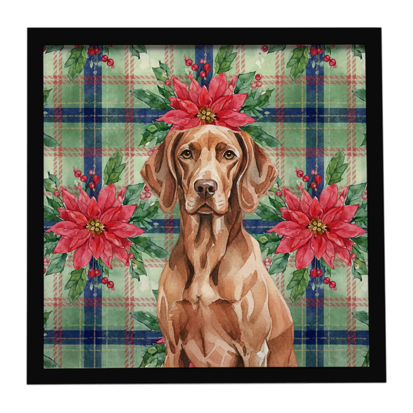 Buy this Liver Pointer Christmas PoinsettIas Framed Metal Print