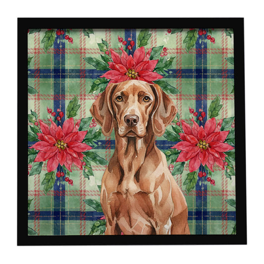 Buy this Liver Pointer Christmas PoinsettIas Framed Metal Print