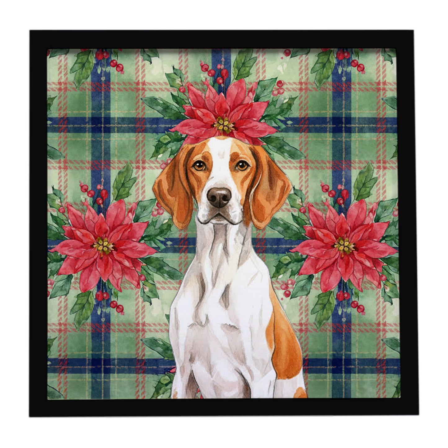 Buy this Orange and White Pointer Christmas PoinsettIas Framed Metal Print