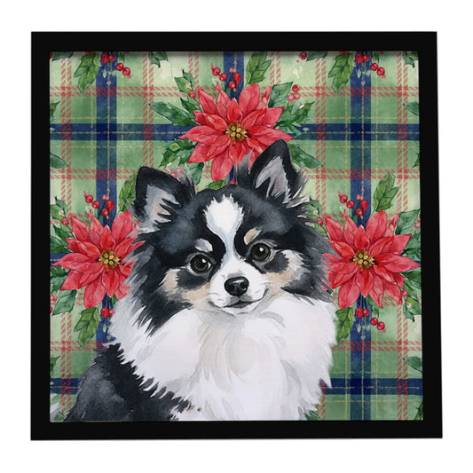Buy this Black and White Pomeranian Christmas PoinsettIas Framed Metal Print