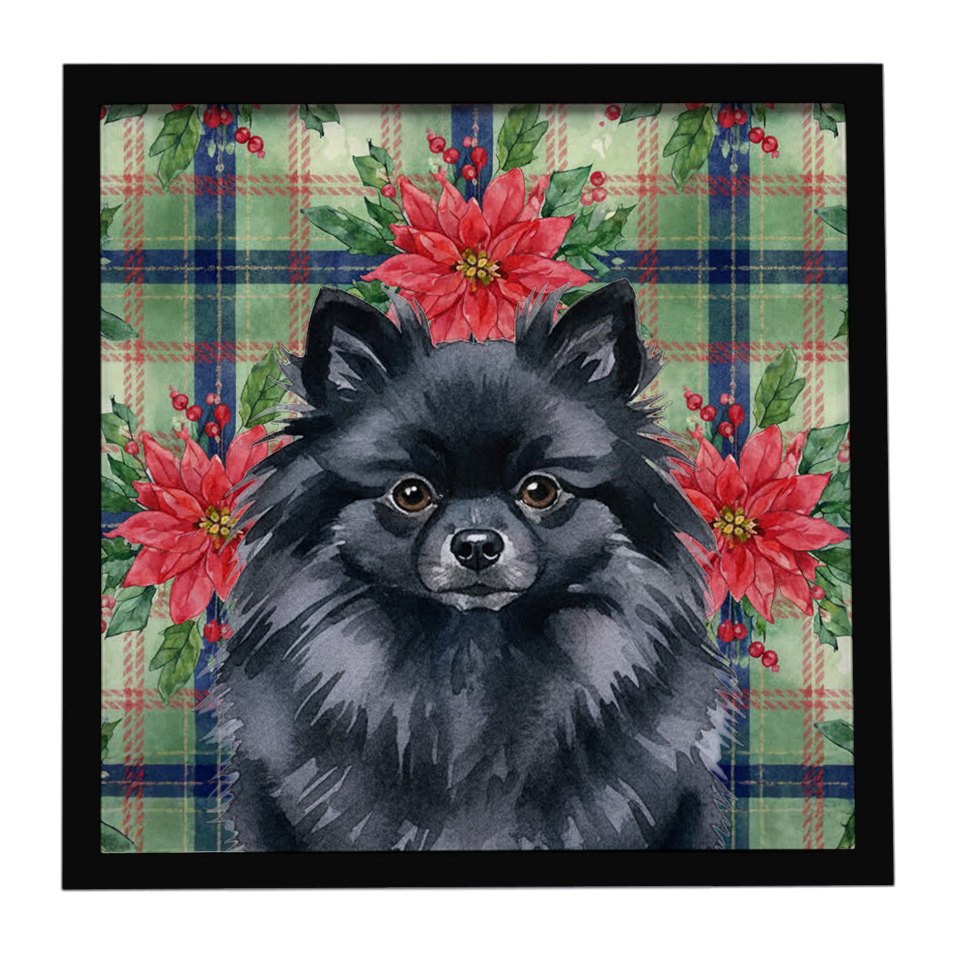 Buy this Black Pomeranian Christmas PoinsettIas Framed Metal Print