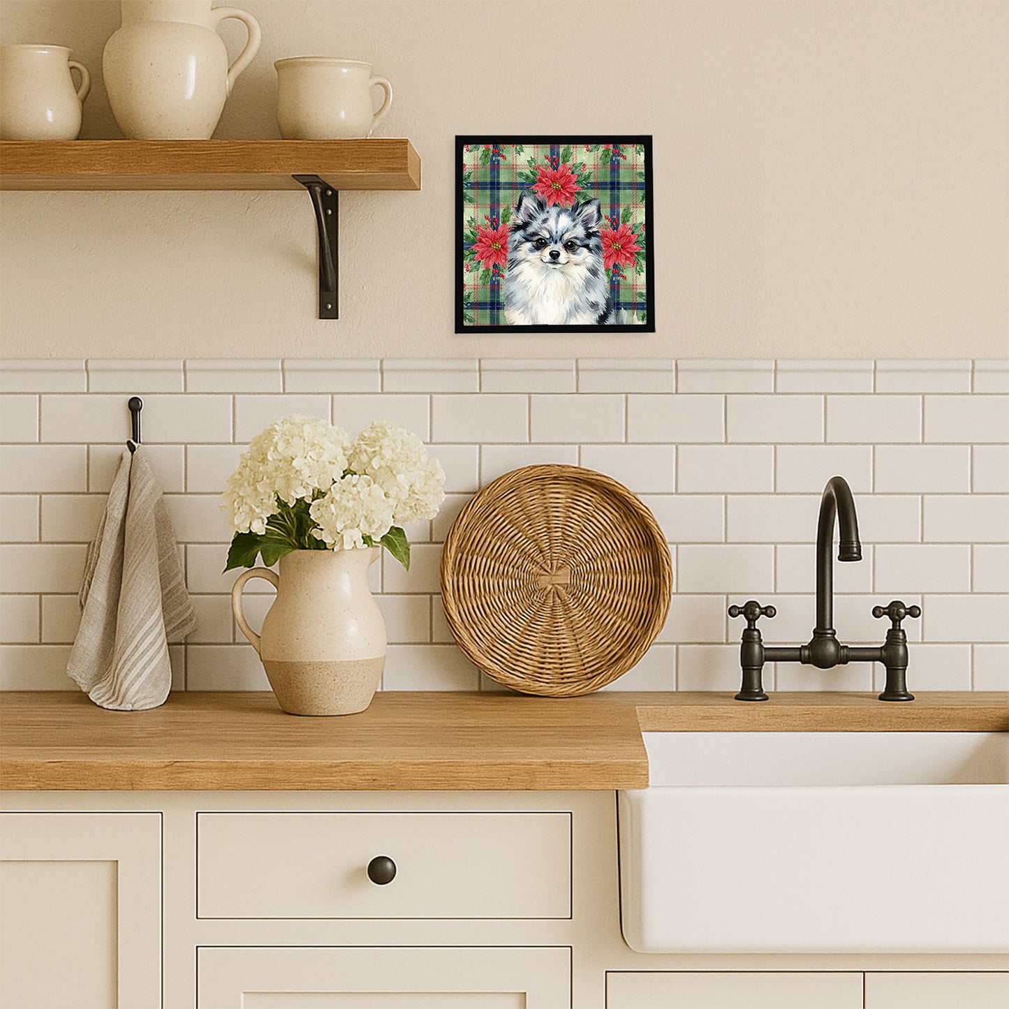 Blue Merle Pomeranian Christmas PoinsettIas Framed Metal Print