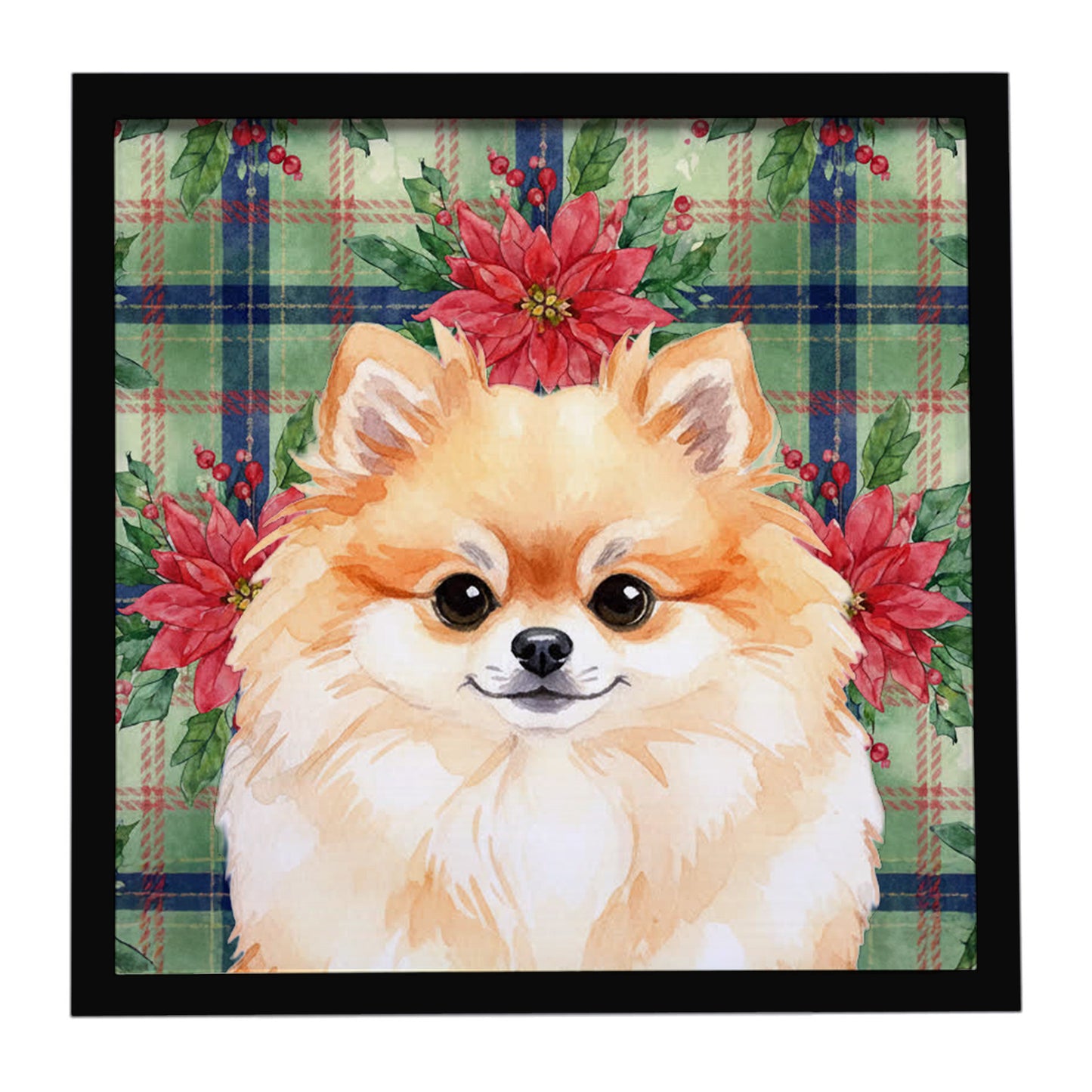Buy this Pomeranian Christmas PoinsettIas Framed Metal Print