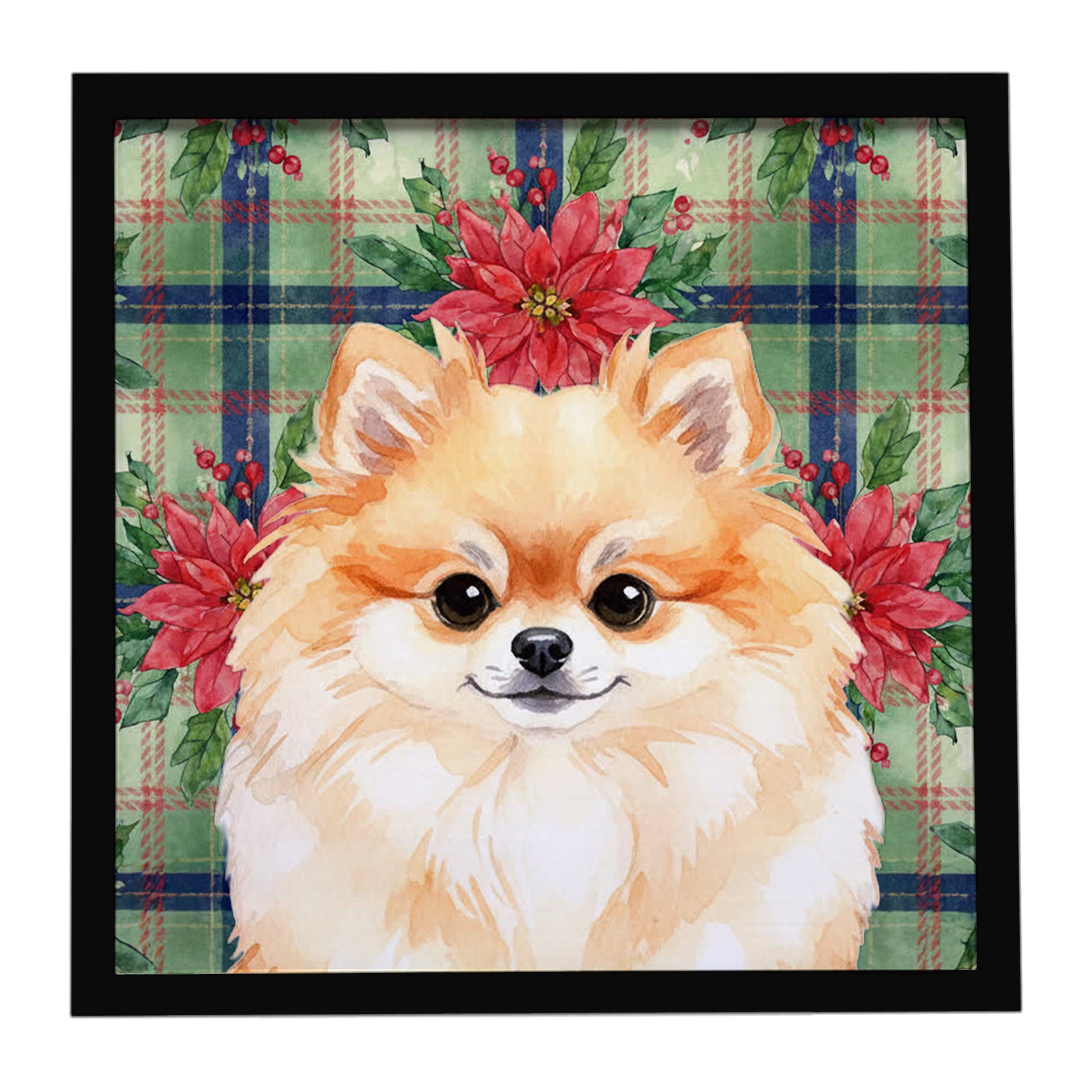 Buy this Pomeranian Christmas PoinsettIas Framed Metal Print