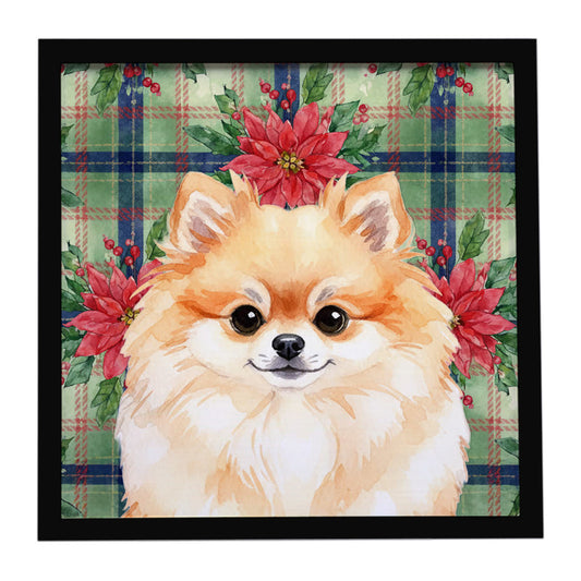 Buy this Pomeranian Christmas PoinsettIas Framed Metal Print