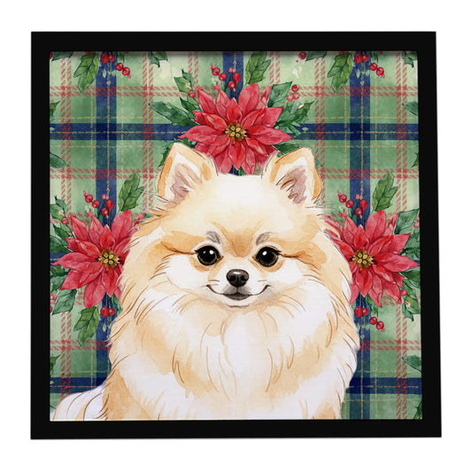 Buy this Cream Pomeranian Christmas PoinsettIas Framed Metal Print