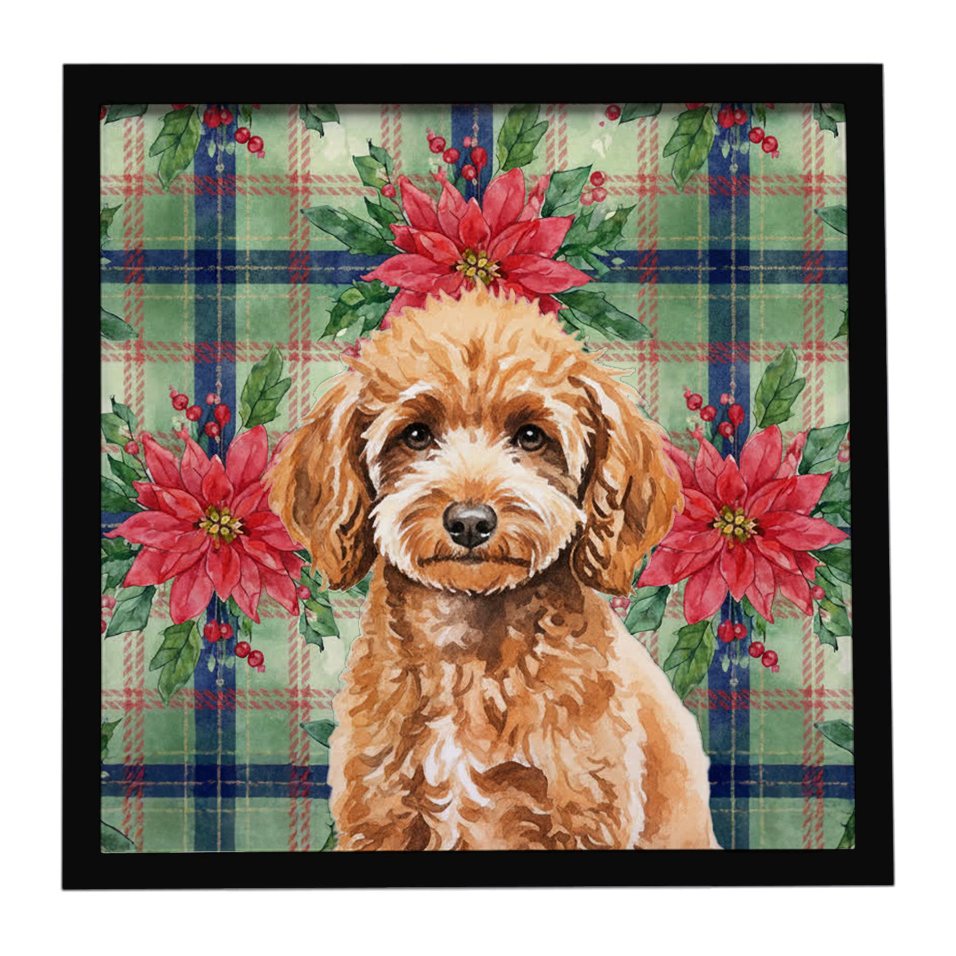 Buy this Miniature Apricot Poodle Christmas PoinsettIas Framed Metal Print