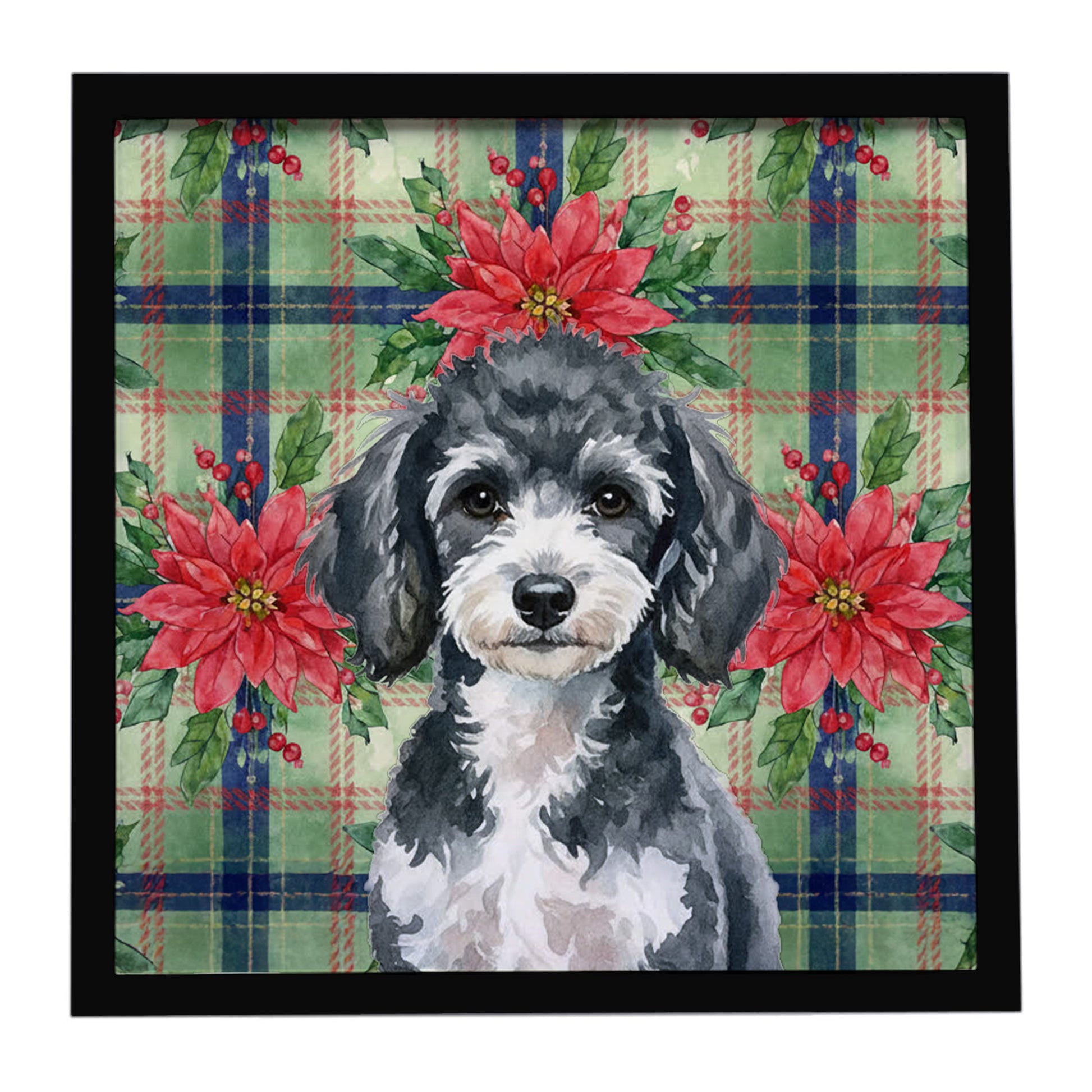 Buy this Miniature Parti Poodle Christmas PoinsettIas Framed Metal Print