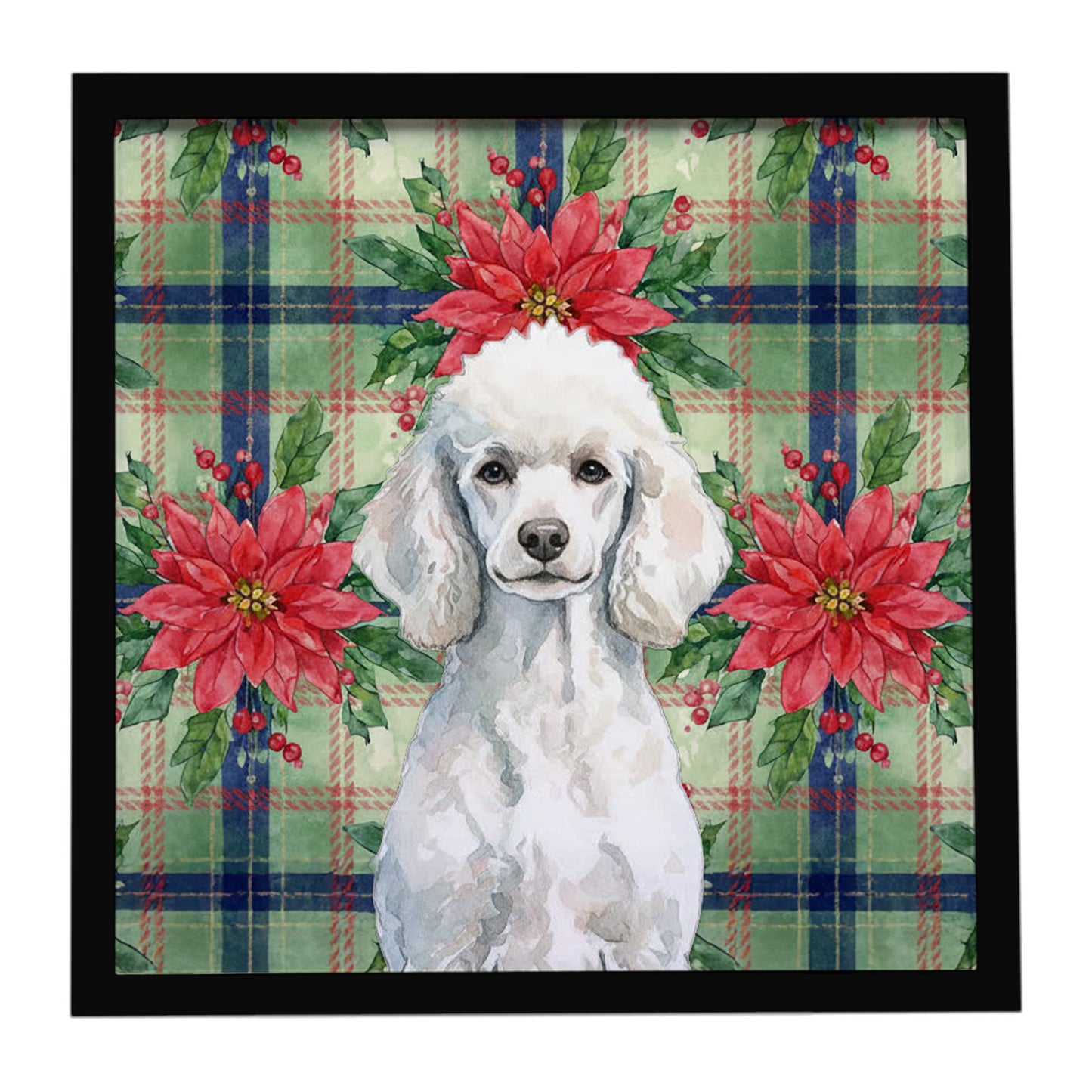 Buy this Standard White Poodle Christmas PoinsettIas Framed Metal Print