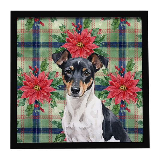 Buy this Black and White Rat Terrier Christmas PoinsettIas Framed Metal Print