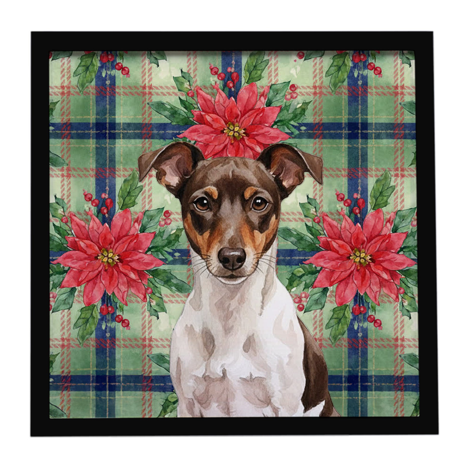 Buy this Chocolate and White Rat Terrier Christmas PoinsettIas Framed Metal Print