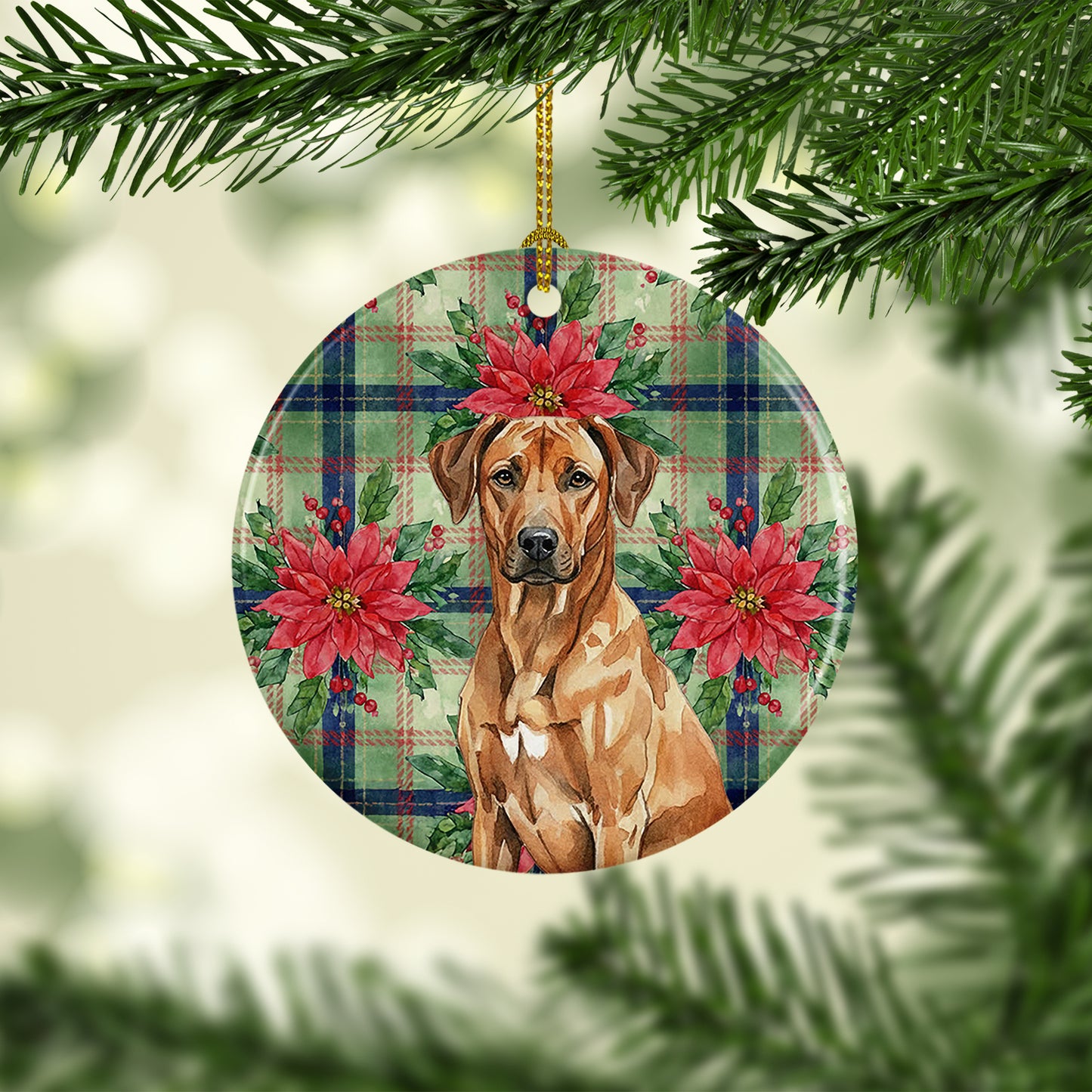 Rhodesian Ridgeback Christmas PoinsettIas Ceramic Ornament