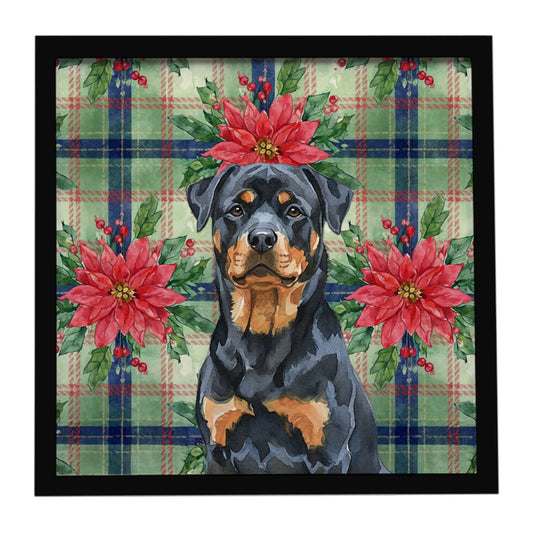 Buy this Rottweiler Christmas PoinsettIas Framed Metal Print
