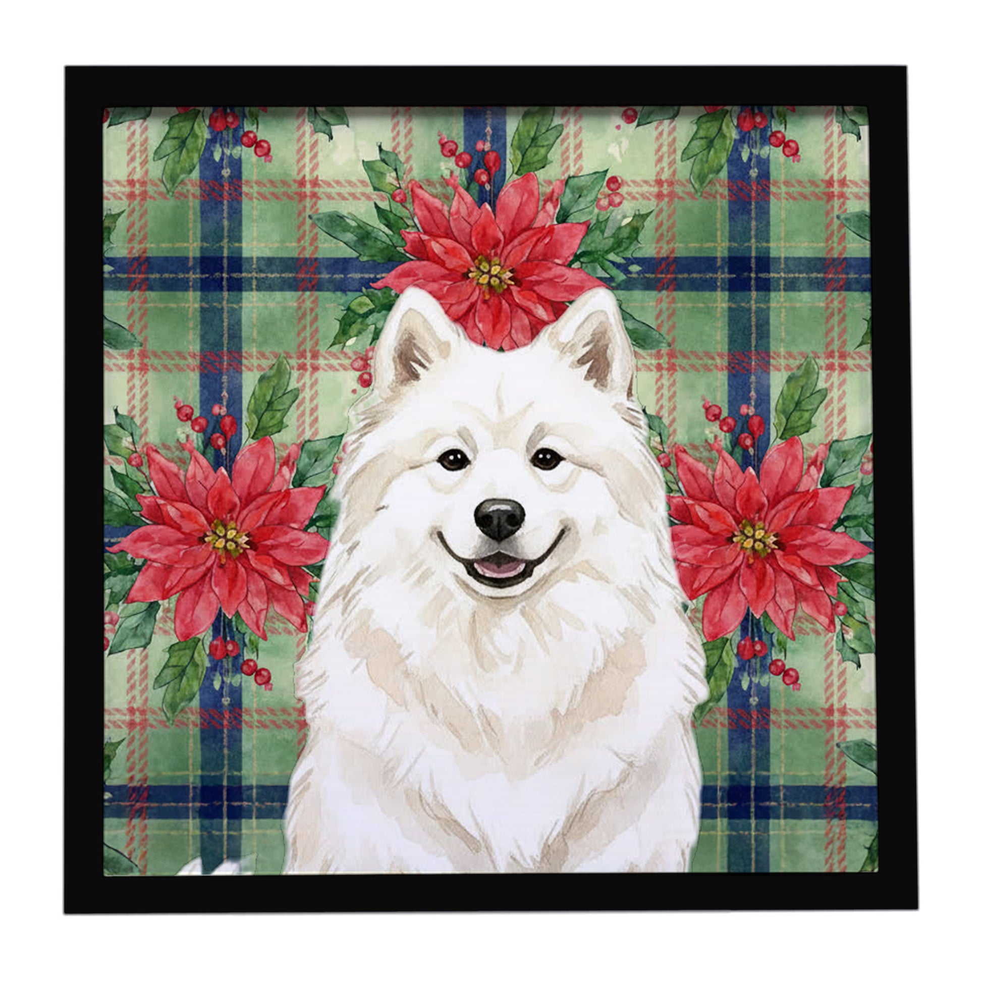 Buy this Cream Samoyed Christmas PoinsettIas Framed Metal Print