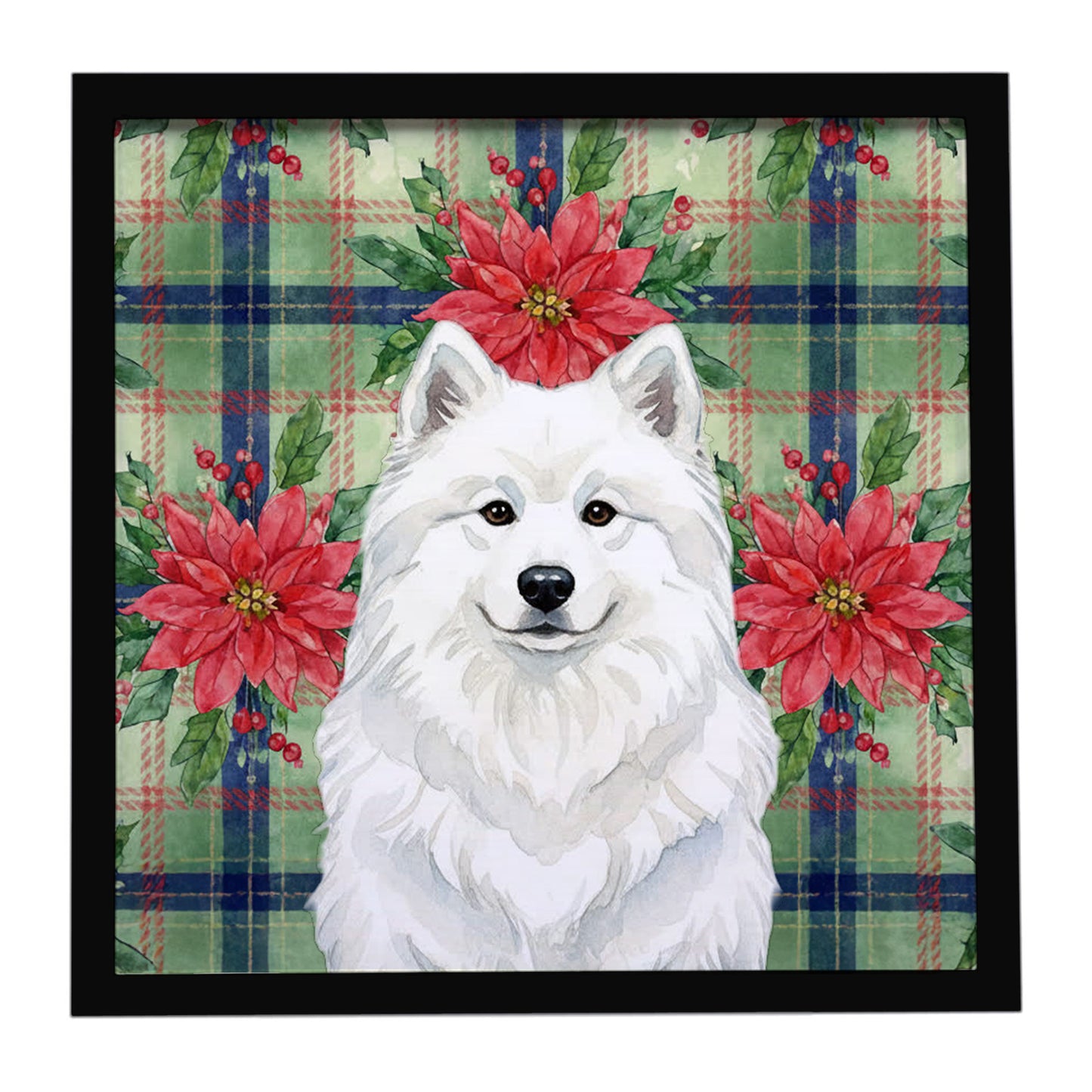 Buy this White Samoyed Christmas PoinsettIas Framed Metal Print