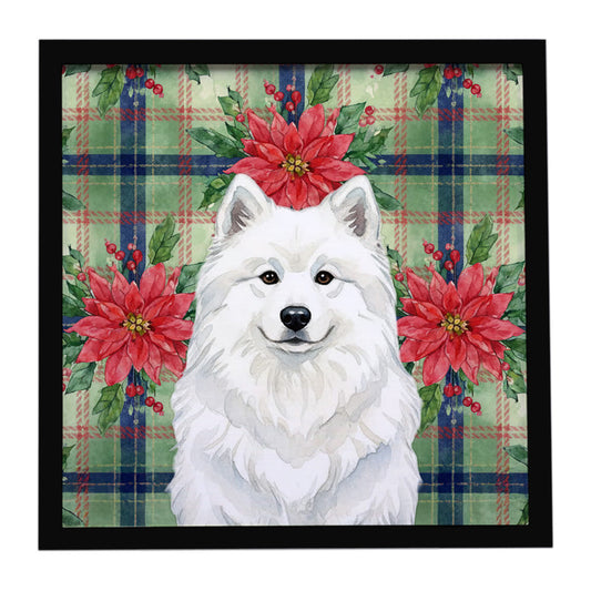 Buy this White Samoyed Christmas PoinsettIas Framed Metal Print