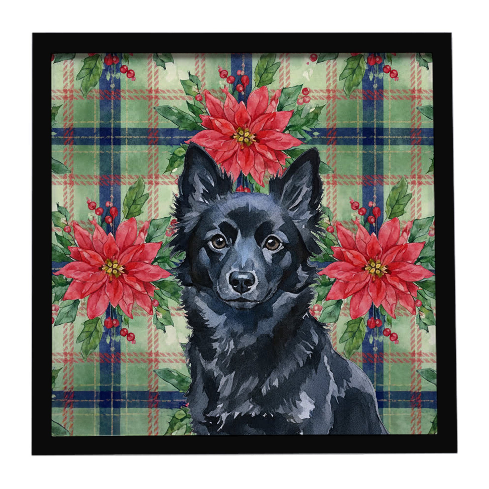 Buy this Schipperke Christmas PoinsettIas Framed Metal Print