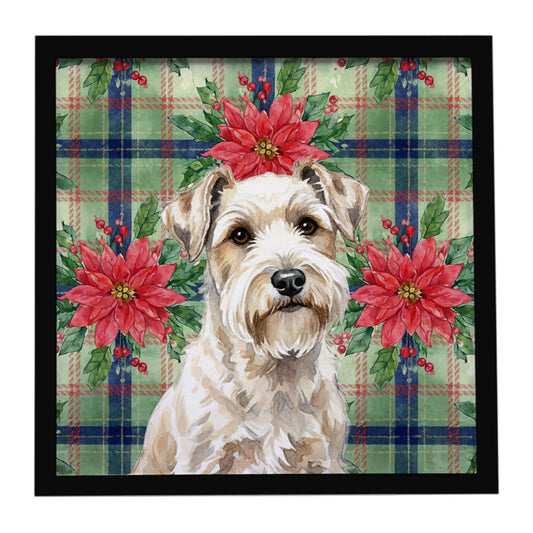 Buy this Sealyham Terrier Christmas PoinsettIas Framed Metal Print
