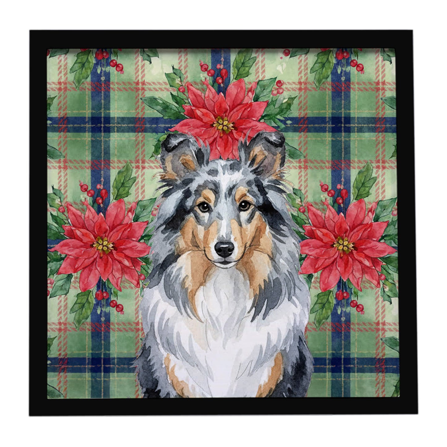 Buy this Blue Merle Sheltie Christmas PoinsettIas Framed Metal Print