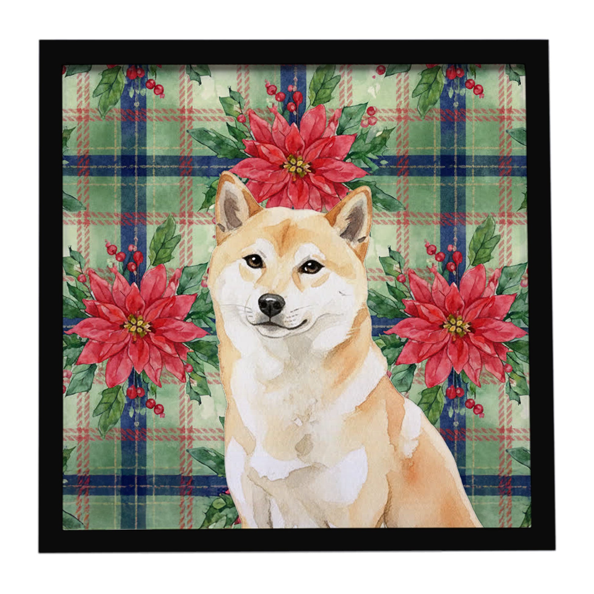 Buy this Cream Shiba Inu Christmas PoinsettIas Framed Metal Print