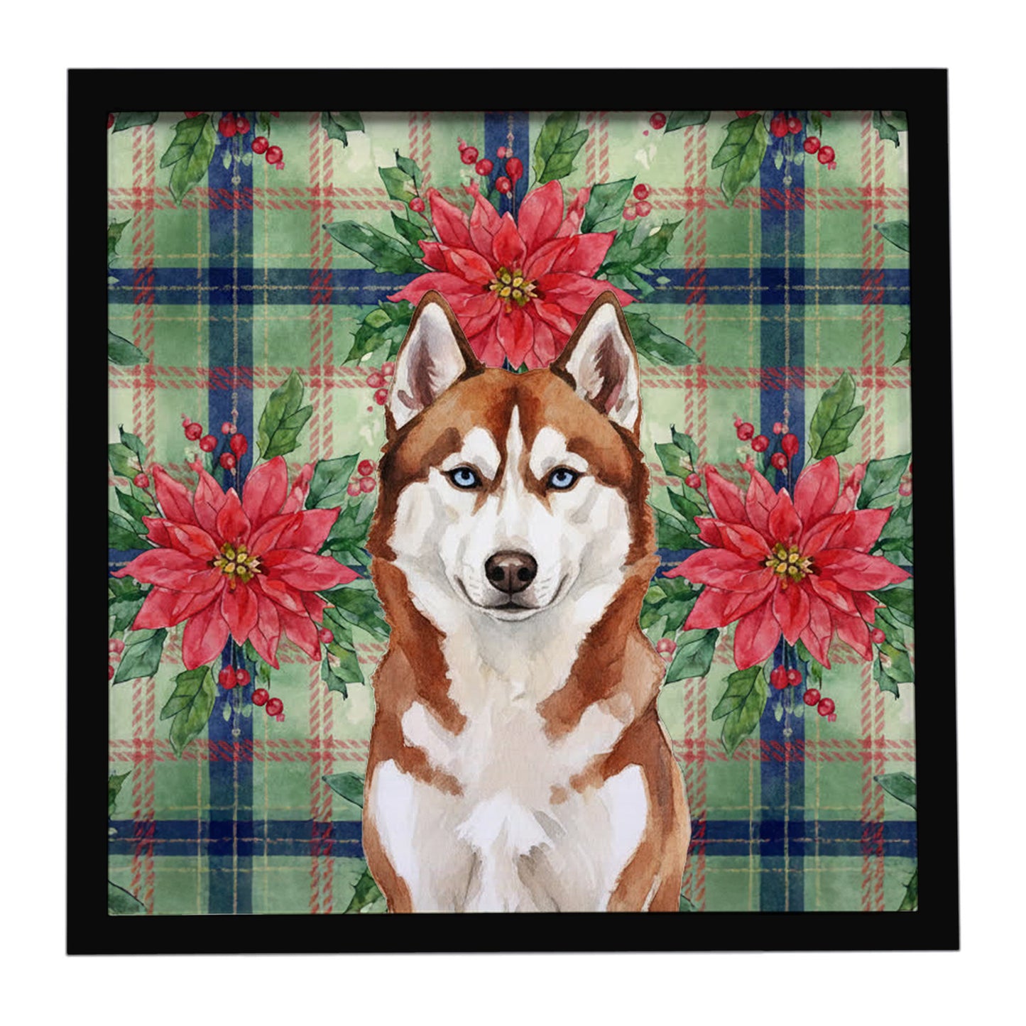 Buy this Red and White Siberian Husky Christmas PoinsettIas Framed Metal Print