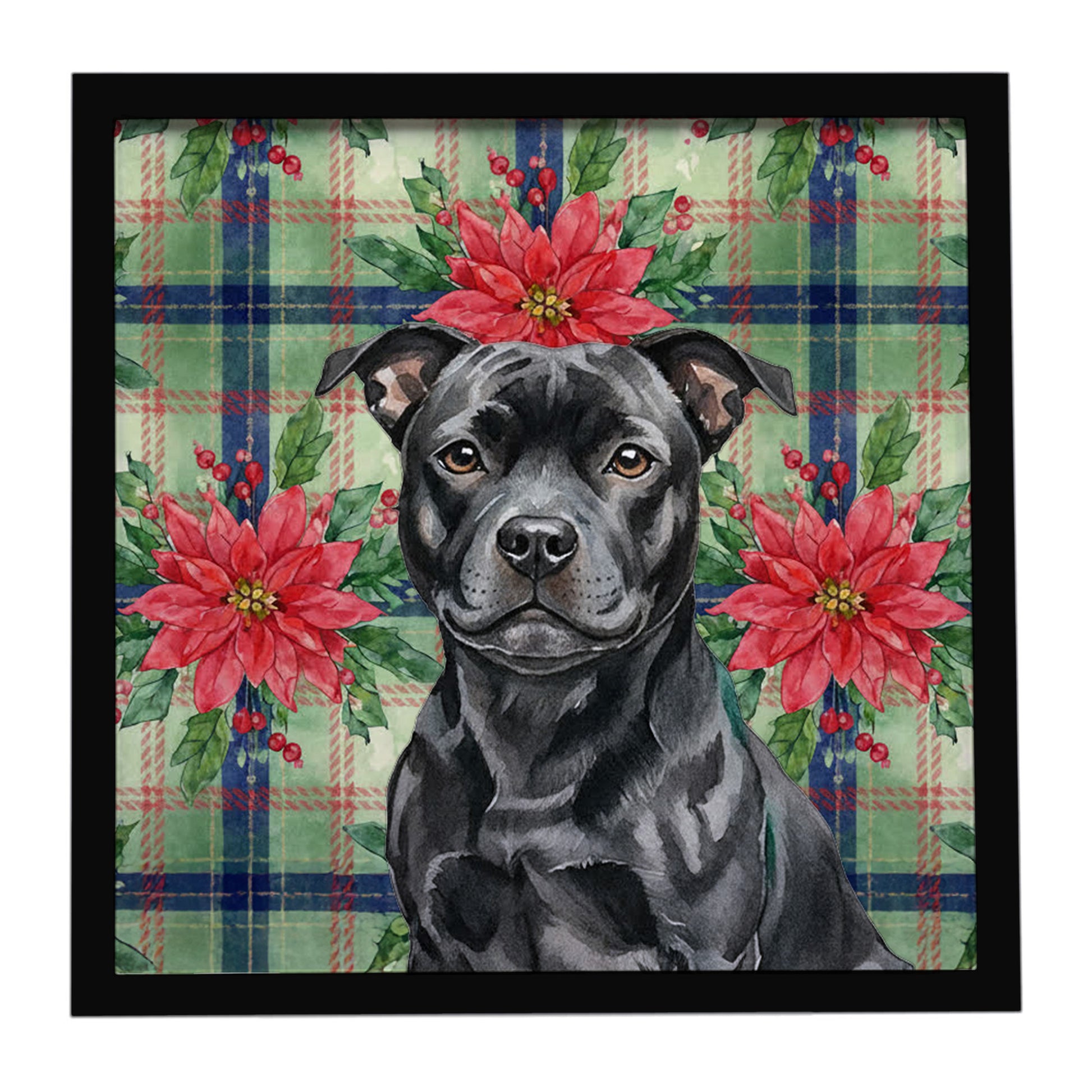 Buy this Black Staffordshire Bull Terrier Christmas PoinsettIas Framed Metal Print