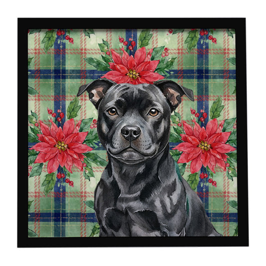 Buy this Black Staffordshire Bull Terrier Christmas PoinsettIas Framed Metal Print