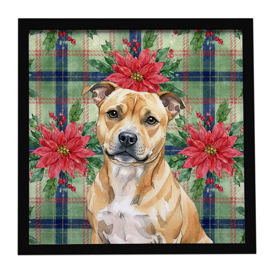 Buy this Fawn Staffordshire Bull Terrier Christmas PoinsettIas Framed Metal Print