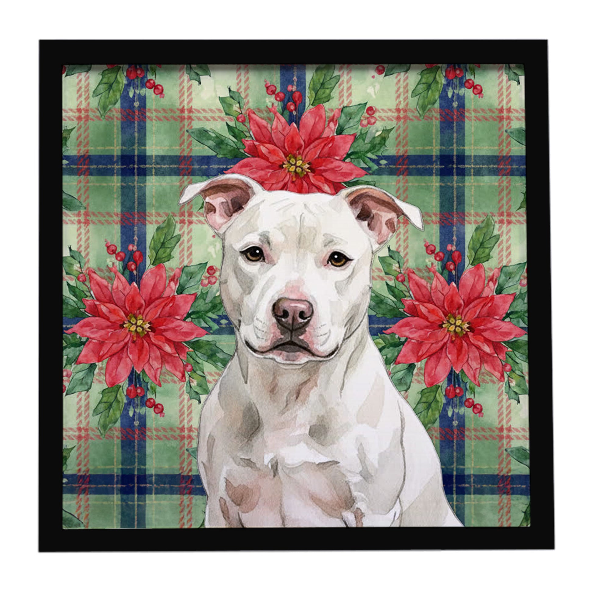 Buy this White Staffordshire Bull Terrier Christmas PoinsettIas Framed Metal Print