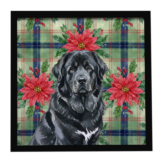 Buy this Black Tibetan Mastiff Christmas PoinsettIas Framed Metal Print