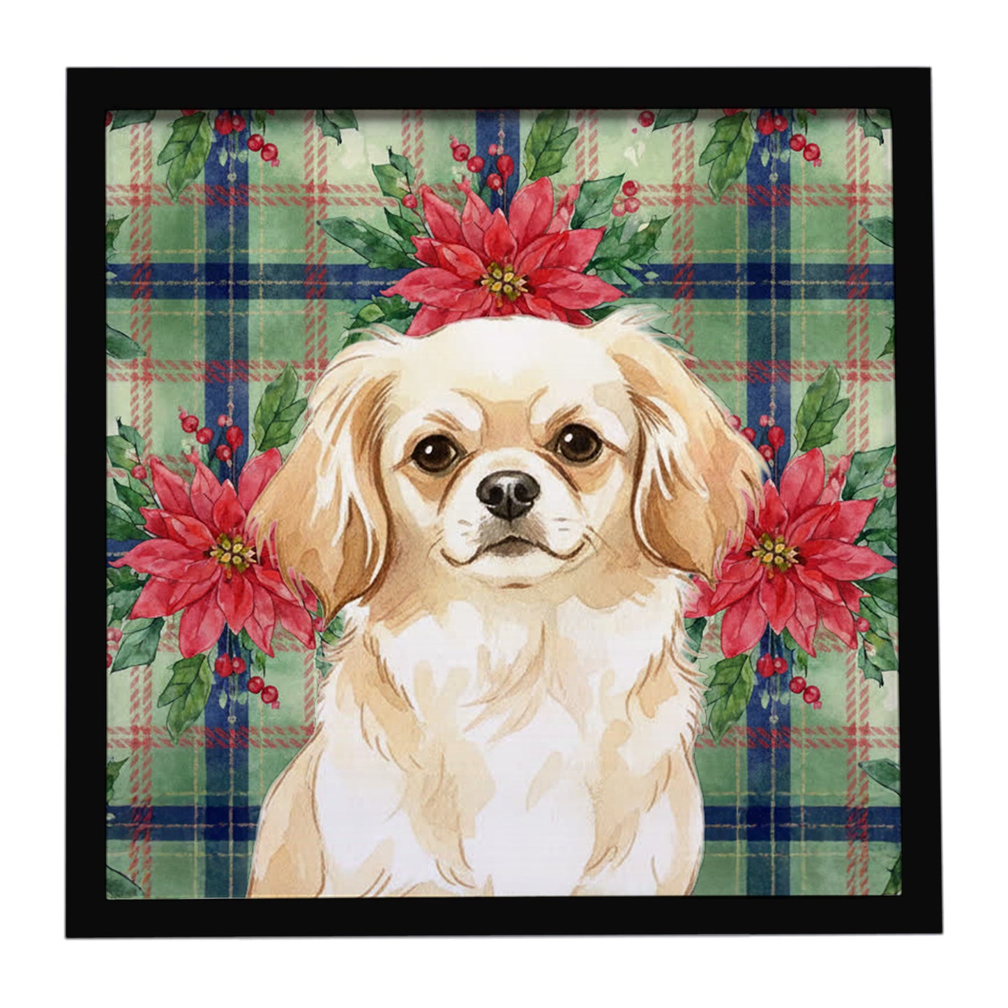 Buy this Cream Tibetan Spaniel Christmas PoinsettIas Framed Metal Print