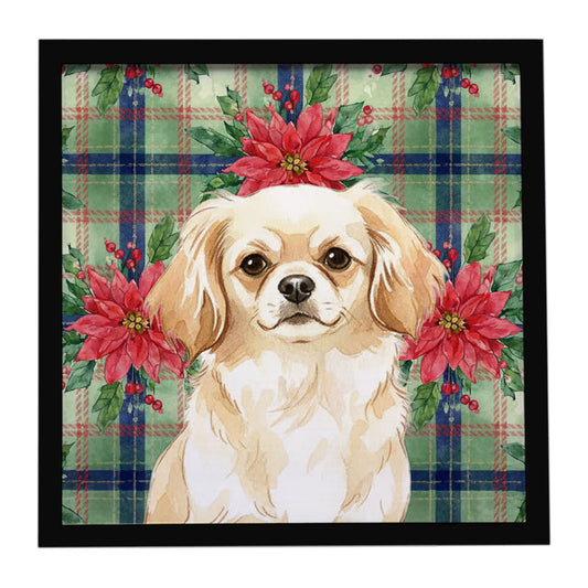 Buy this Cream Tibetan Spaniel Christmas PoinsettIas Framed Metal Print