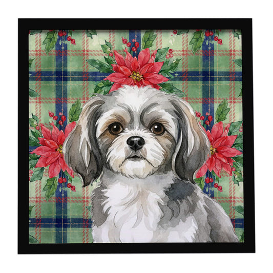 Buy this Grey and White Tibetan Spaniel Christmas PoinsettIas Framed Metal Print