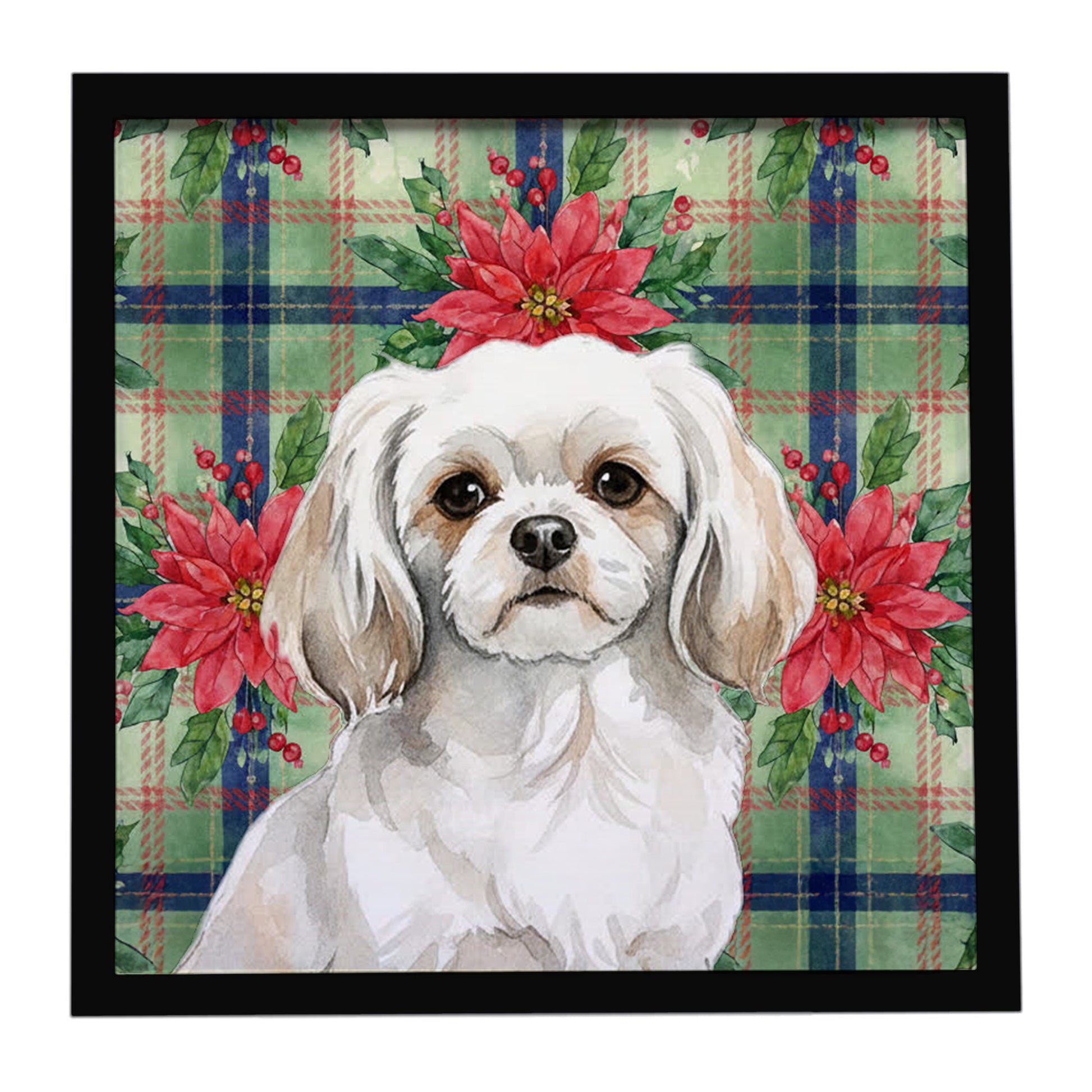 Buy this White Tibetan Spaniel Christmas PoinsettIas Framed Metal Print