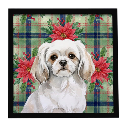 Buy this White Tibetan Spaniel Christmas PoinsettIas Framed Metal Print