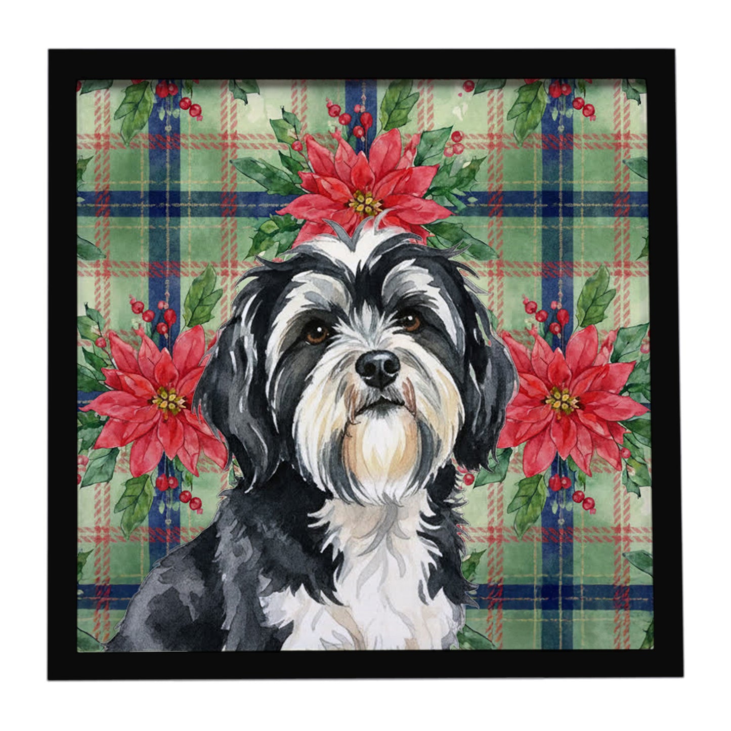 Buy this Black and White Tibetan Terrier Christmas PoinsettIas Framed Metal Print